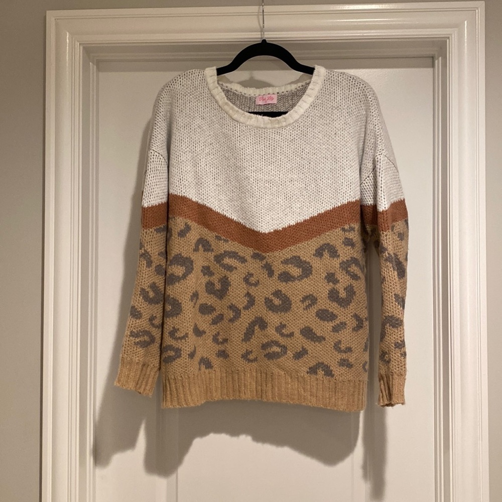 Leopard print color blocked sweater